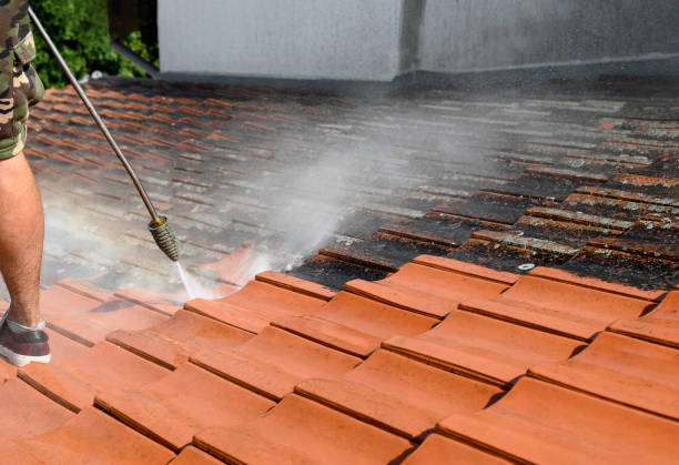 Best Exterior Home Cleaning  in Campbellsport, WI